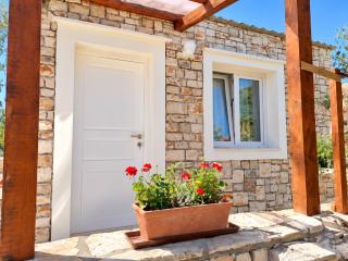 HOLIDAY HOME ZLOPOJE - 9