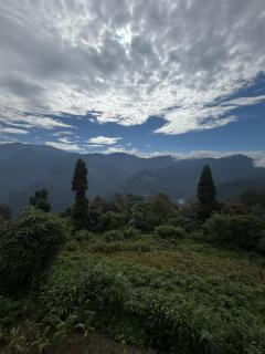 Spring Valley Homestay Rishop - 6