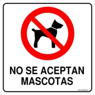 La Casica de Carrasco - 5