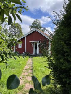 Lekaryd Kattemåse Småland - 9