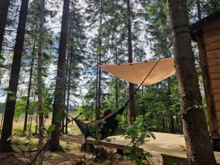 Tiny house Lugnet - forest and microfarm stay - Säffle - 5