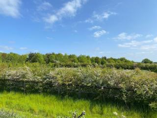 Beautiful accommodation in stunning Suffolk countryside - 7