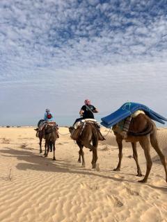 Camp Dalia - 2
