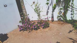 Cute and comfortable studio in Dahab, Sina Market - 9