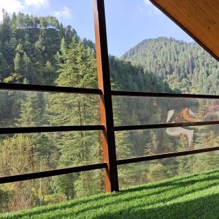 The Vedara Himalayan Boutique Retreat - 9