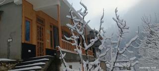 Snowleaf - 4
