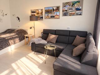 Narva Krenholm 19th Century Apartment - 8