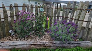 Bever Cottage - 1 bedroom - 1
