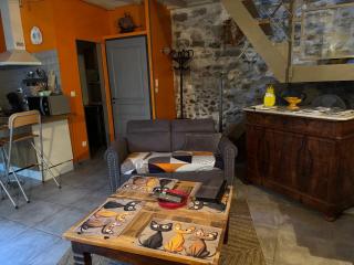 Petite maison sur jardin secret à 50 m de la Rue des teinturiers wifi gratuit - Avignon - 3
