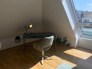 Dreamy Blue Penthouse in Central Vienna - 8