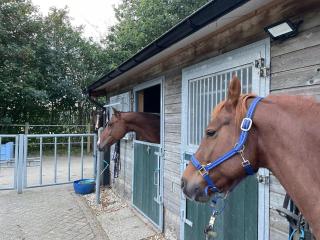 Equi Guidance Studio - 3