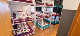 SnowBunnys BackPackers Hostel - 2