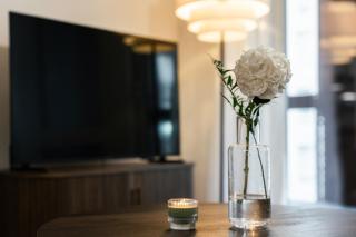 Snownest Premium City Centre Apartments 2 - 1