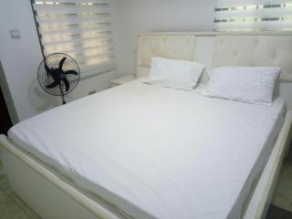 Elegant 3 Bedroom Apartment - 3