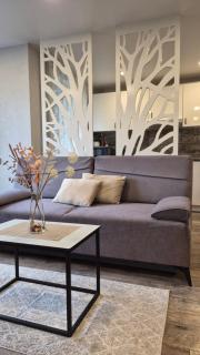 Apartamentai su balkonu prie Akropolio Taikos pr 48 - 0