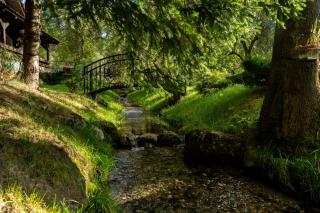 Vila Discret House - 6
