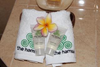 The Hamsa - Lovina - 9