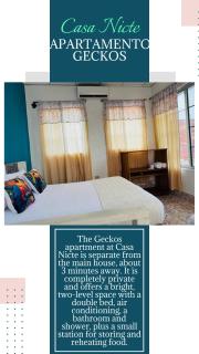 Nicte Guesthouse, Flores Island - 5
