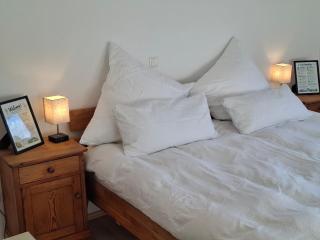 Private King Room Near Hanau & Frankfurt - 0