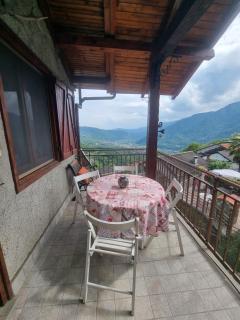 Belvedere Bert - 8