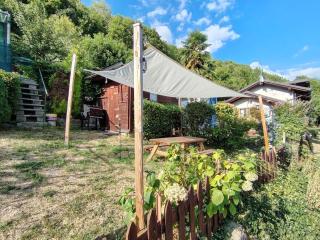 Belvedere Bert - 6