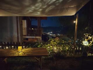 Belvedere Bert - 3