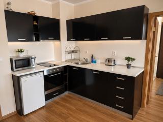 Spacious modern 1BR apartment near the gondola - 6