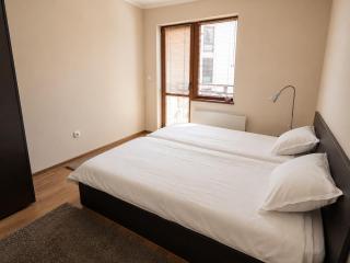Spacious modern 1BR apartment near the gondola - 5