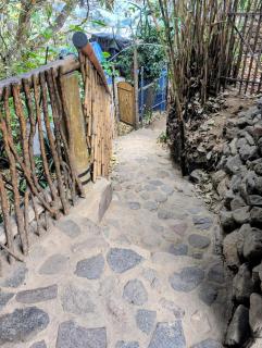 Casa Jaguar - Treehouse experience - 3