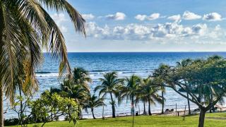Studio vue mer Bilimbi - Plage à 20 m - Sainte-Anne - 3