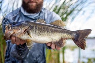 Pet Friendly | Private Dock & Direct Canal Access - Okeechobee - 8