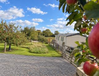 Plum Tree Lodge Set in 2 acres of Private Land - 2