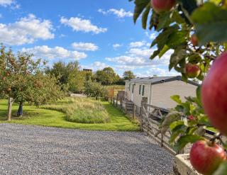 Plum Tree Lodge Set in 2 acres of Private Land - 0