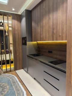 Premium Apartments Near to Airport E98 - 3