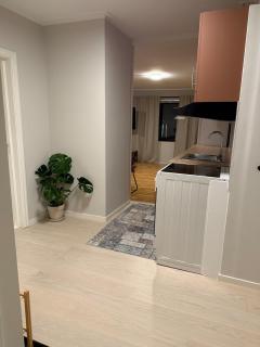 Central apartment - 2