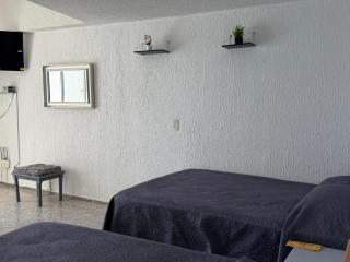 Acapulco Suite LyS Torres Gemelas - 2