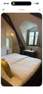 City Hotel Koningsvlinder - 5