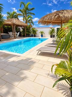 Canne à sucre Martinique, résidence naturiste - 2