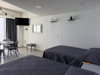 Acapulco Suite LyS Torres Gemelas - 3