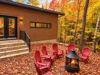 Chalet design en forêt, Foyer de pierre, 7 pers - 5
