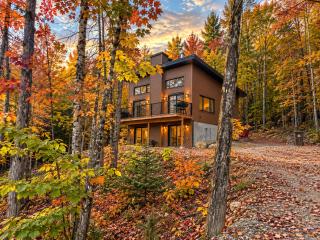 Chalet design en forêt, Foyer de pierre, 7 pers - 9