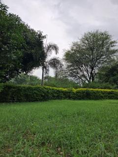 Entire 10000sq ft farm Villa Private pool AQs - 1