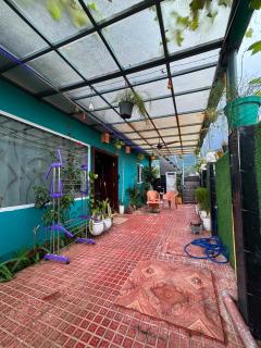 The Green Nature guest house - 1