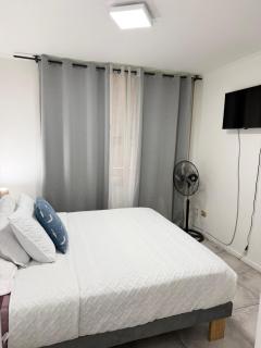 Departamento Santiago centro # 1 - 7