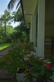 DA GREA NATURAL BEACH HOTEL - Trincomalee - 3