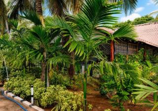 DA GREA NATURAL BEACH HOTEL - Trincomalee - 2