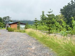 ปลายนา ผาม่าน รีสอร์ท-Plaiina Phaman Resort - 9