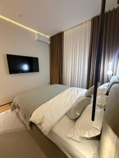 Modern, Stylish & Cozy Apartment in Ozmahal - 4
