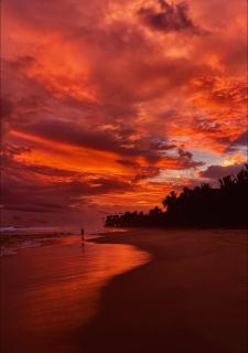 Sunset Haven - 8