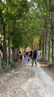 Diacor Leisure Farm & Resort - 3